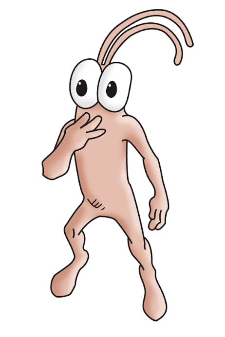 Figure 0: Cole Medeiros' first original gub